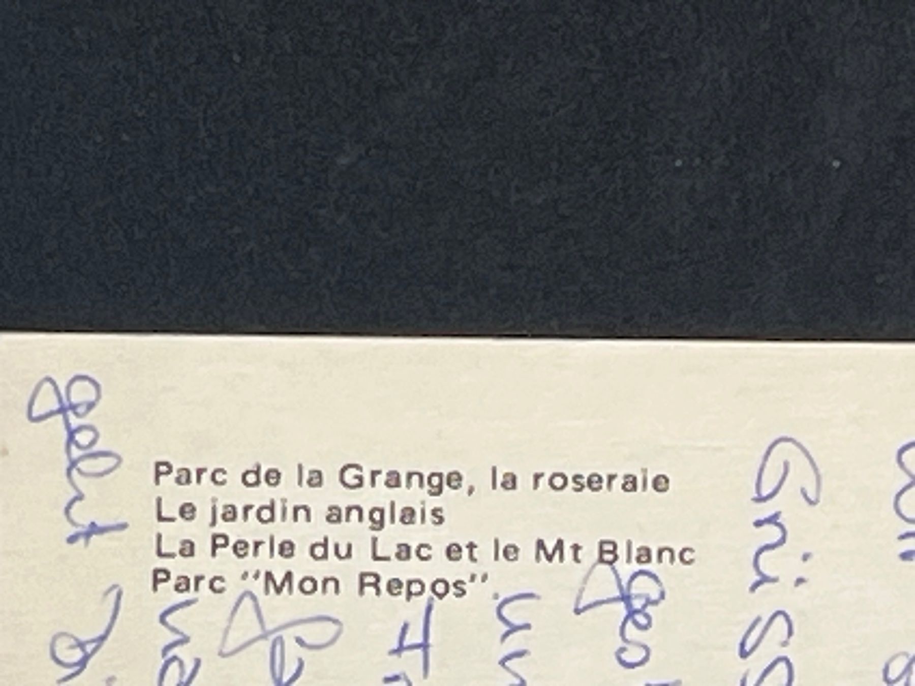 Cartoline postali: Genève fleurie – Usato da Widnau venduto da Brusi9 2