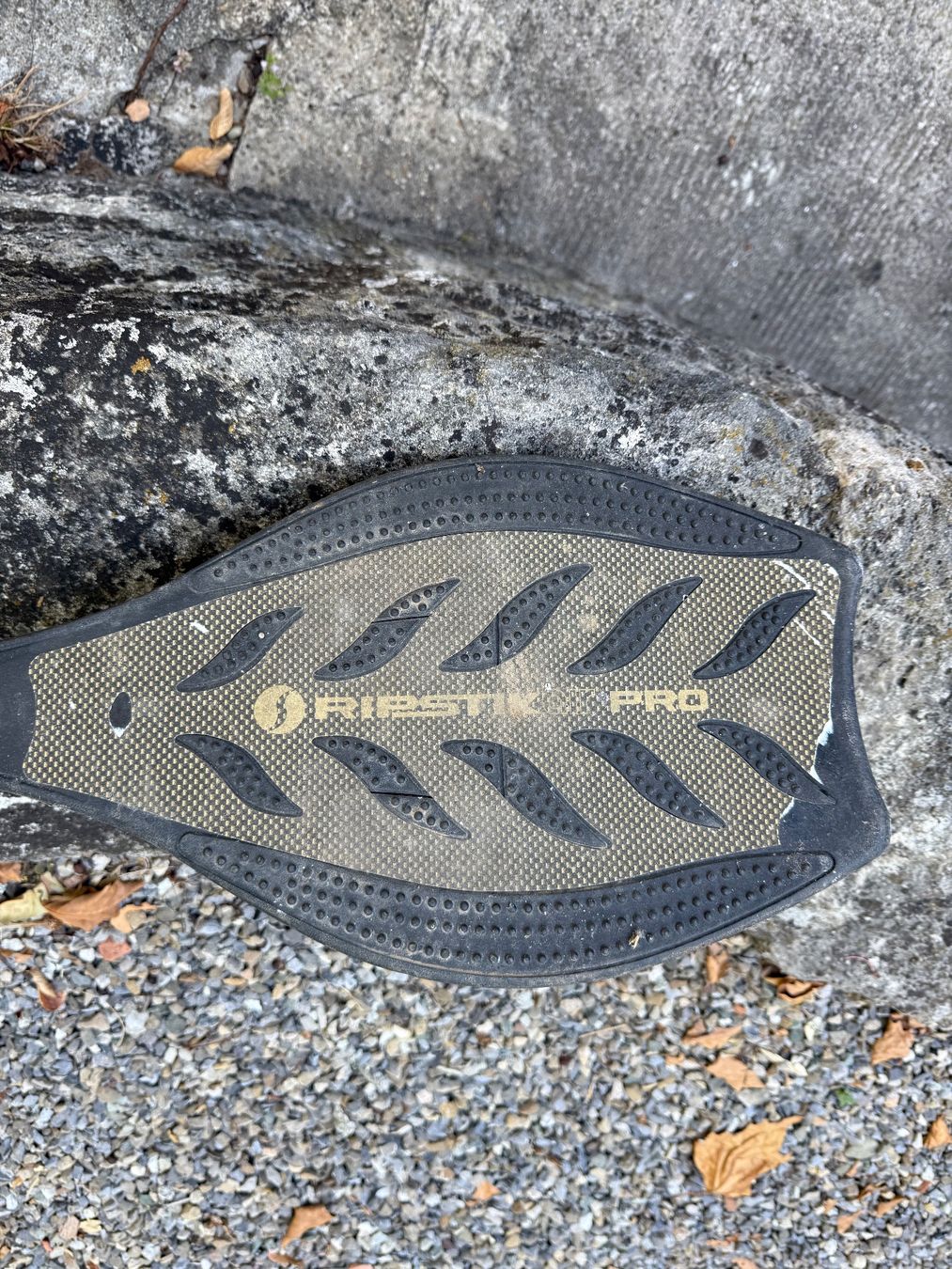 Skateboards: Waveboard, Ripstick Pro – Usato da Wohlen AG venduto da thr_t5x8 1
