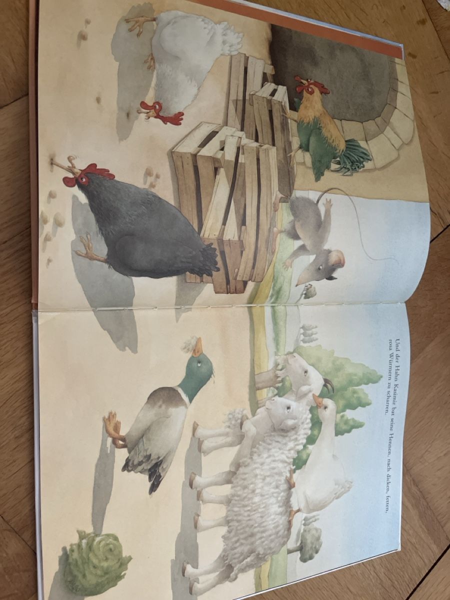 Bücher: Jonathan Spatzenvater Kinderbuch Ingrid Ostheeren Agnes Math – Gebraucht aus Bern von ste_skb2 4