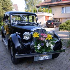 Profile image of rover11