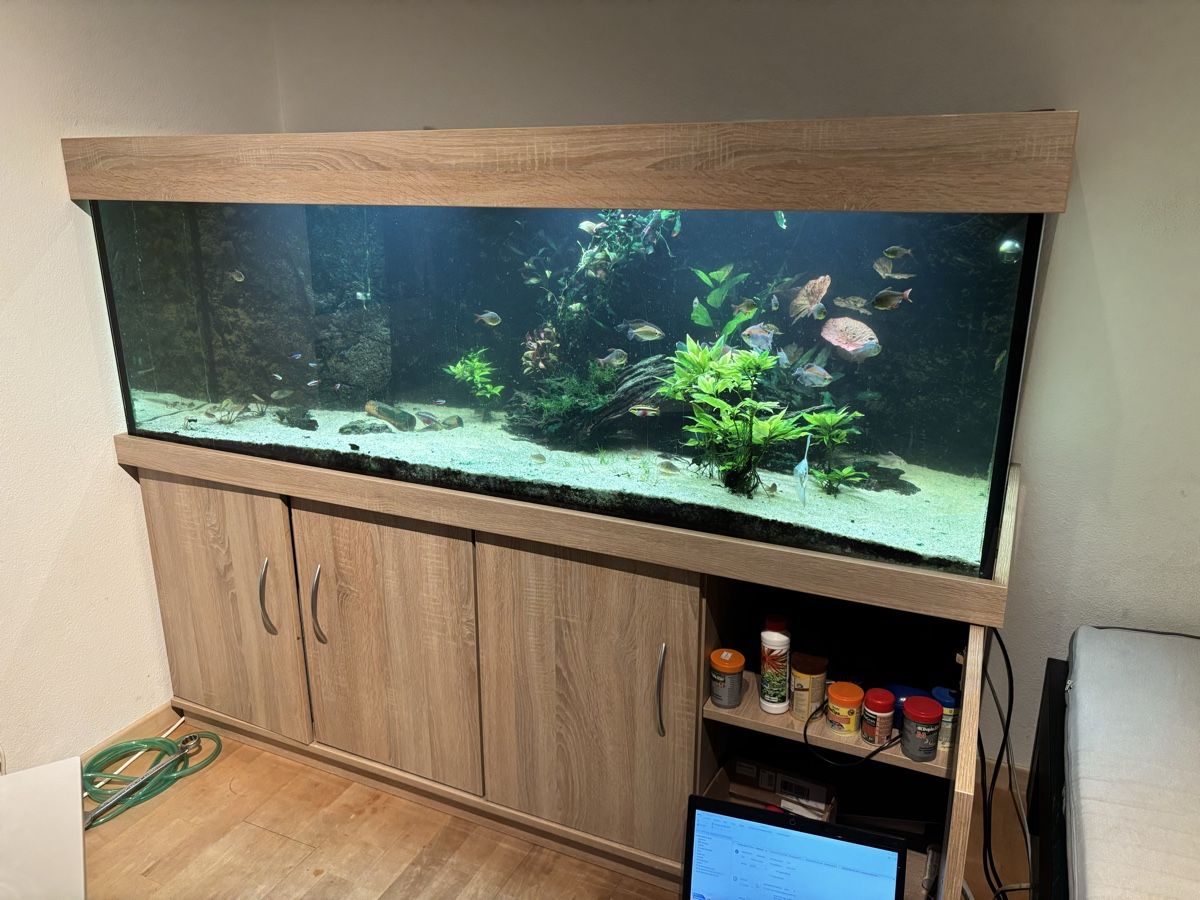 Aquarium: 600 l Aquarium Mit GHL system – D'occasion à Binningen par lor_75yl 2