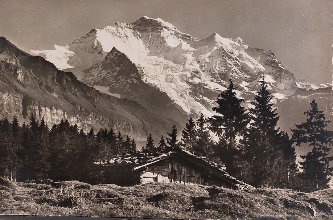 Ansichtskarten: Bei WENGEN - die Jungfrau – Gebraucht aus Delémont von Domdom1