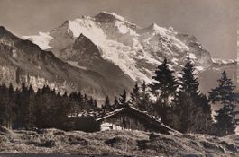 Bei WENGEN - die Jungfrau