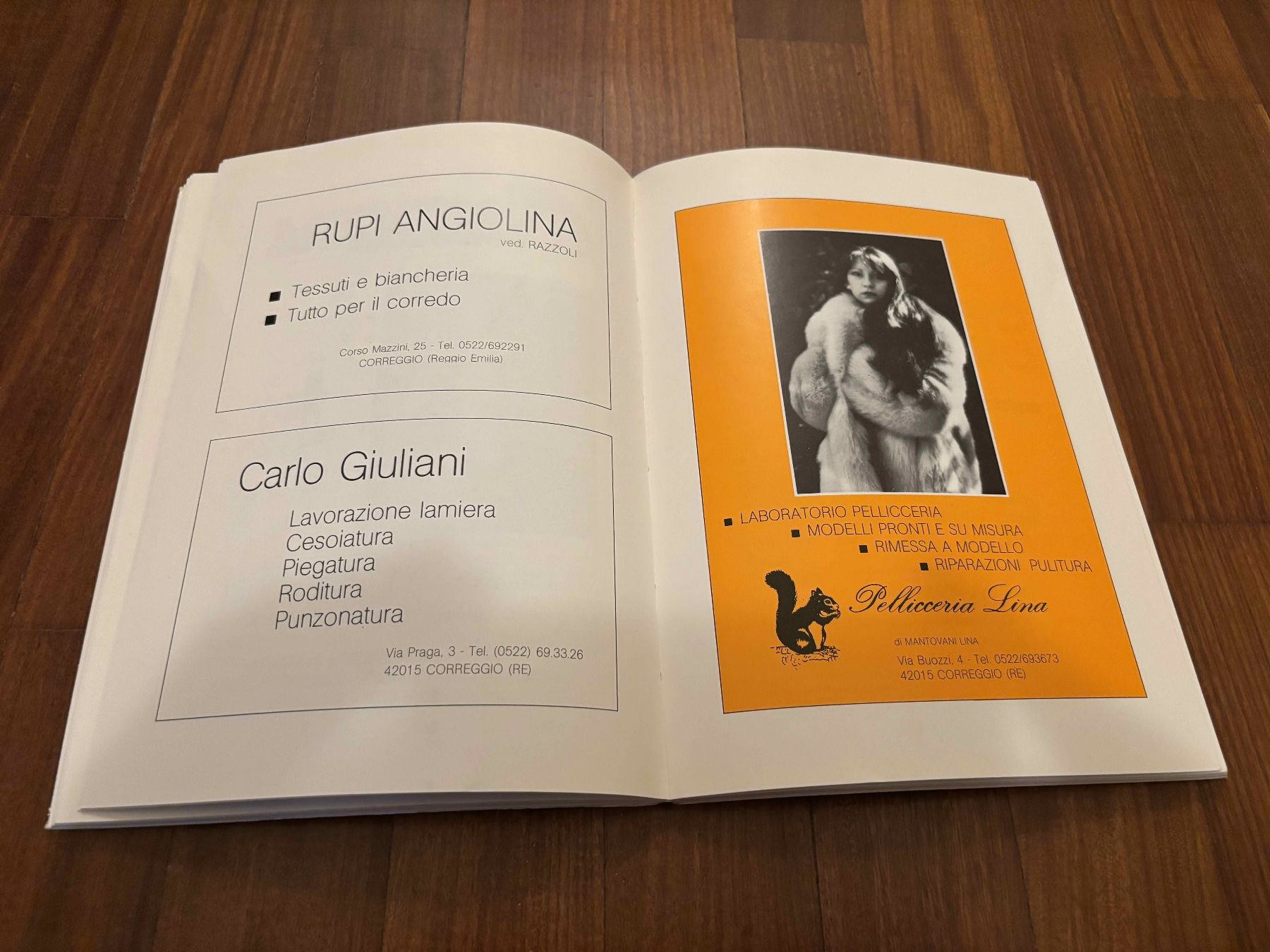 Libri: Correggio Produce – Usato da Lugano venduto da Mark_Young 2
