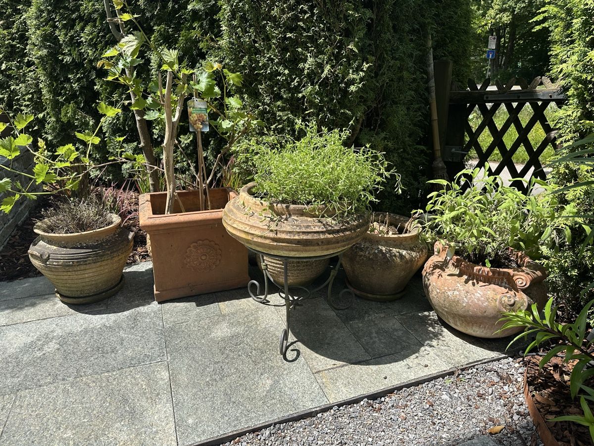 Vasi per fiori: Zwei grosse Terracotta Palmentöpfe – Usato da Zürich venduto da evelyn67 5