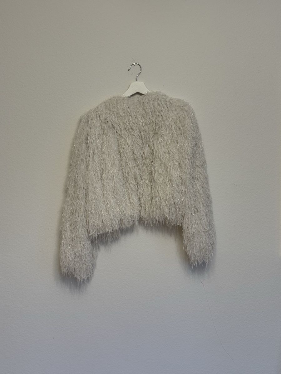 Zara Jacken: ZARA – Shimmering Feather-Effect Cropped Jacket – Neu (gemäss Beschreibung) aus Zürich von liu_5dzz 4