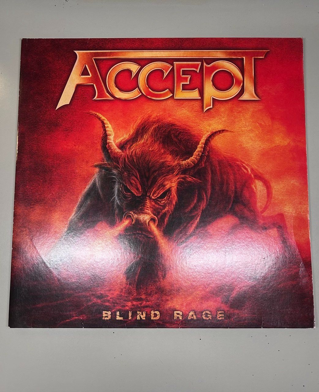 Dischi in vinile: Blind Rage - Accept / Double Vinyl – Usato da Giubiasco venduto da LorisVale 2