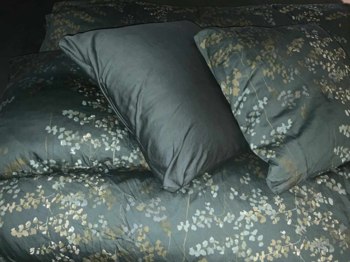 Biancheria da letto: Divina Bettwäsche Set – Usato da Bremgarten b. Bern venduto da san_c7sz