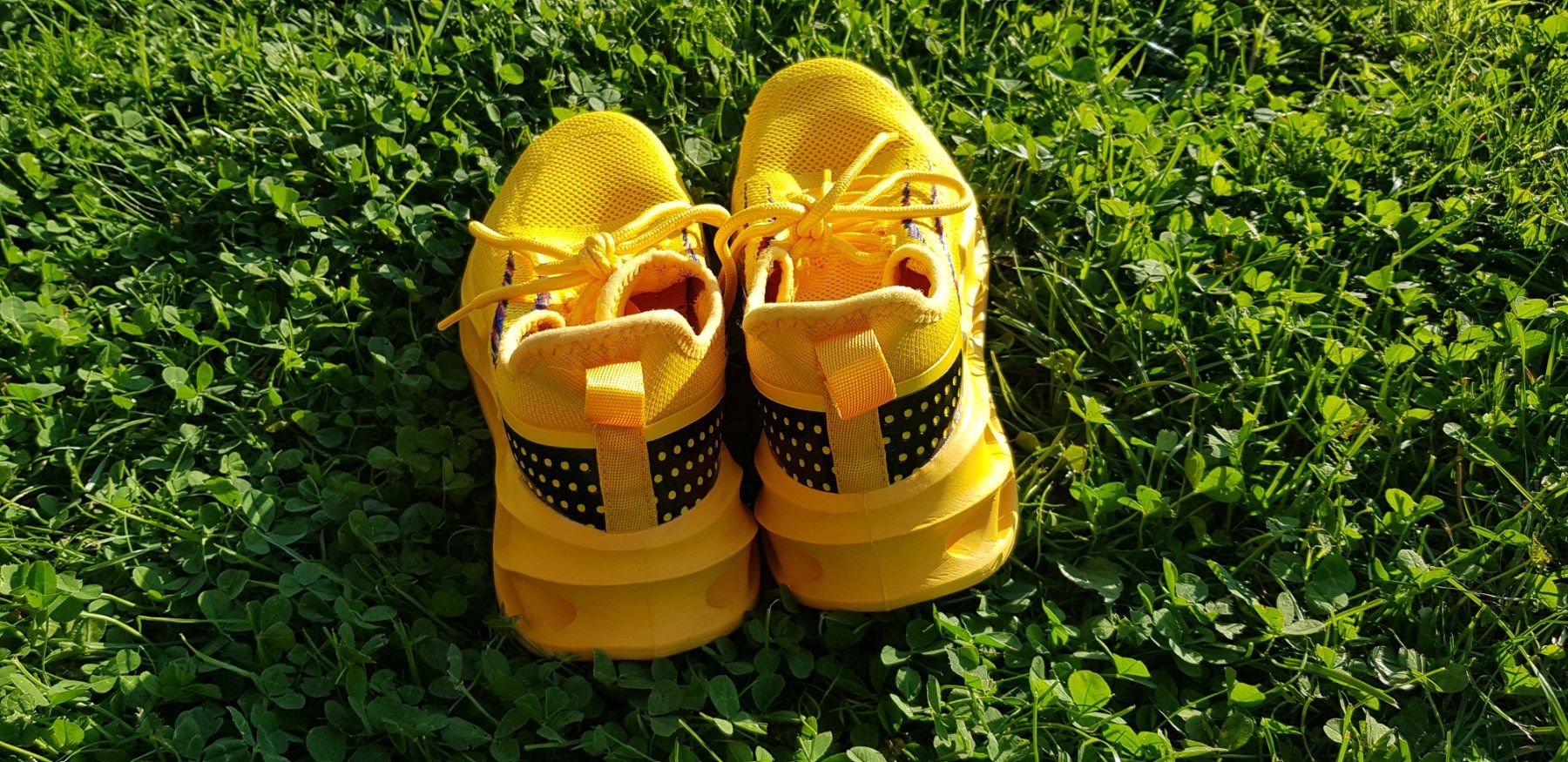 Scarpe per ragazzi: Sneaker/Turnschuhe Gr. 38 – Usato da Embrach venduto da Lilly2021 3