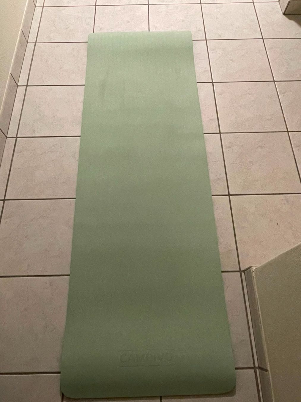 Hometrainer: Yoga Matte mit Tasche – Gebraucht aus Hirschthal von yan_272n 3