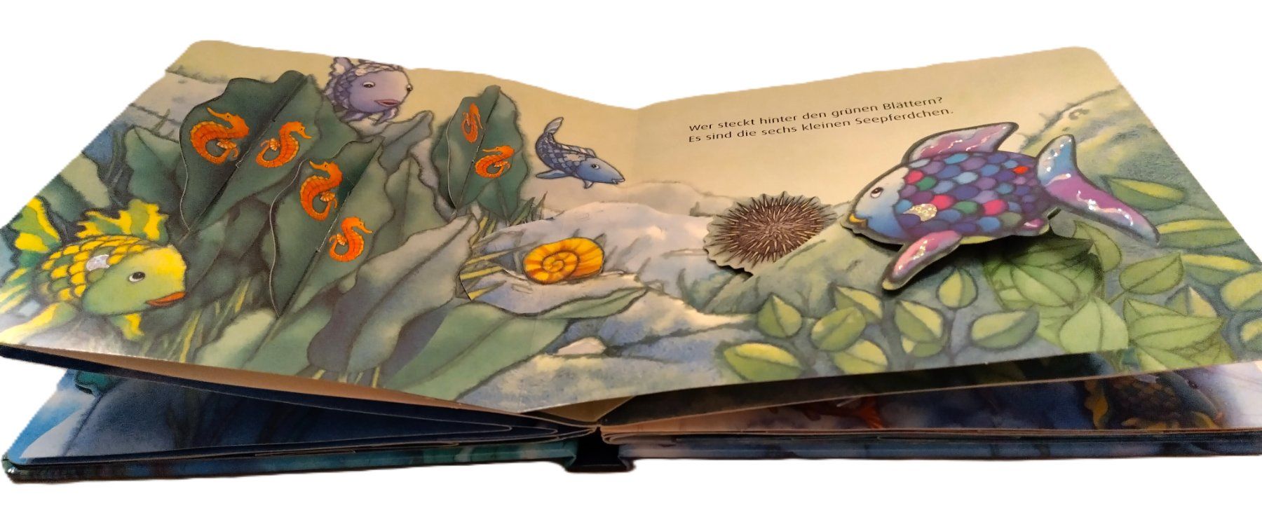 Bücher: Pop-Up Buch - Der Regenbogenfisch und seine Freunde – Gebraucht aus Bellach von JingleJerry 3