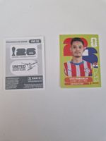 Panini Sticker PAR11