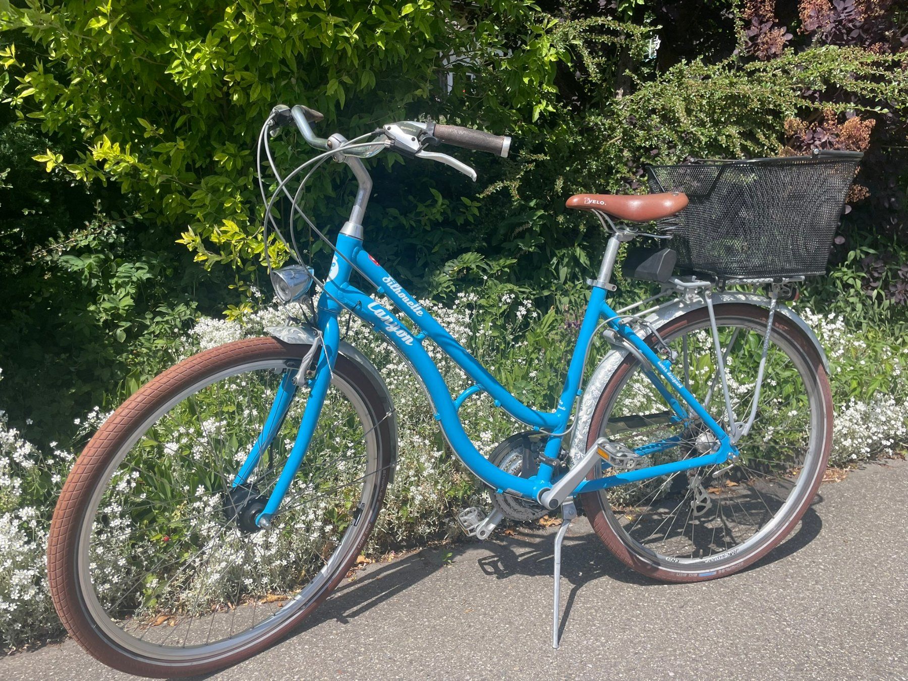Canyon Biciclette: Damenvelo Canyon Silhouette hellblau / Retrobike – Usato da Dietlikon venduto da Gwundrix
