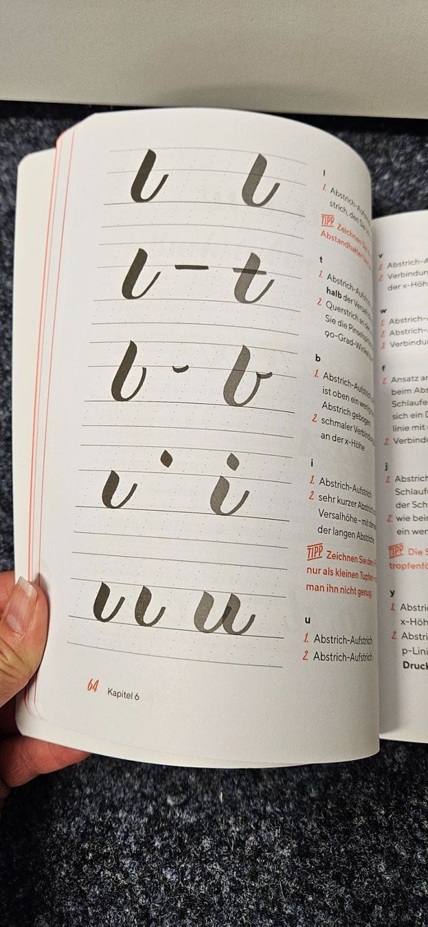 Libri: tolles Handletteringbuch – Usato da Balgach venduto da silvia2030 4