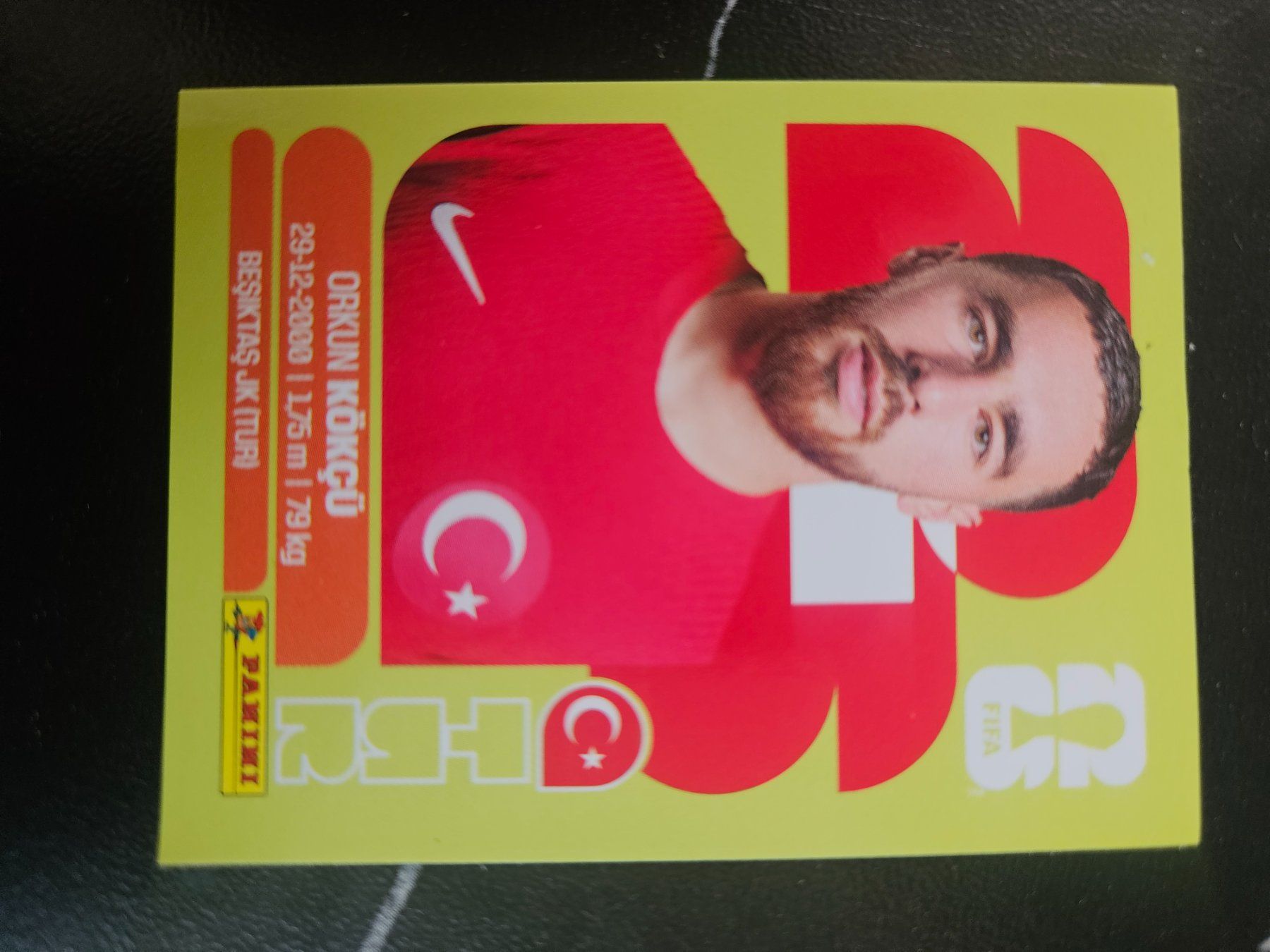 Panini Cartes à collectionner: TUR 12 – D'occasion à Würenlingen par Dinli