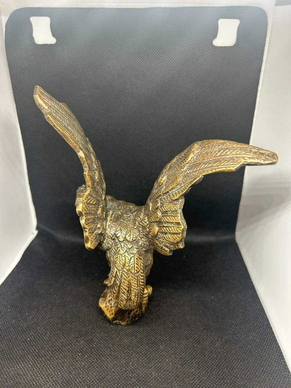 Sculture & Statue: Magnifique Bronze statue Condor – Usato da Lausanne venduto da Weber1007 3