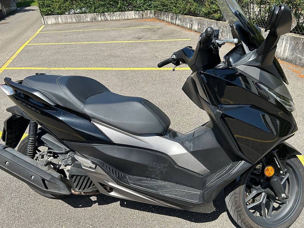 Scooter: Honda Forza 125 ab MFK – Usato da Bottmingen venduto da pio_wf7v 4