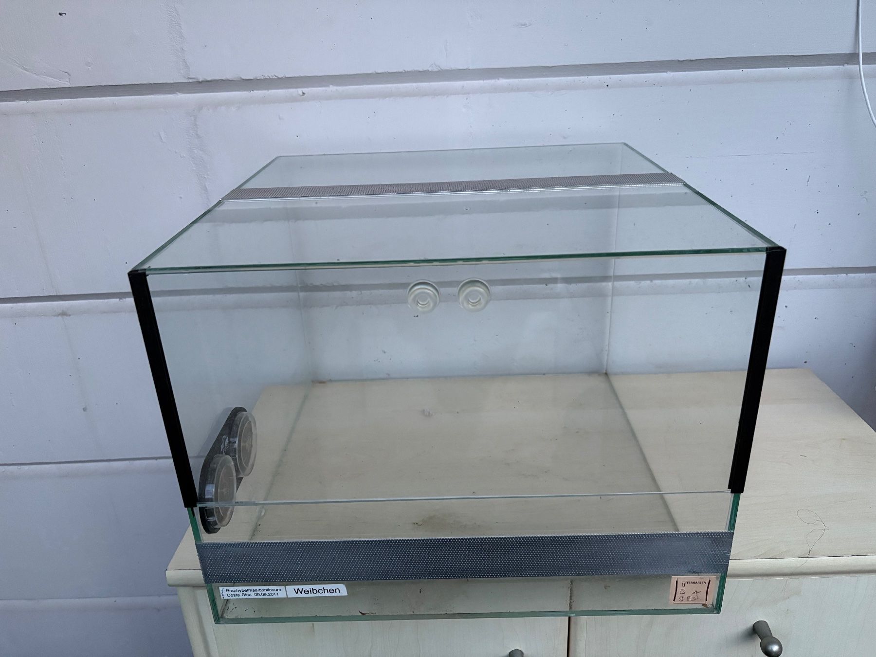 Terrario: Terrarium mit Belüftung, 40x30x40 cm – Usato da Rüti ZH venduto da Severo
