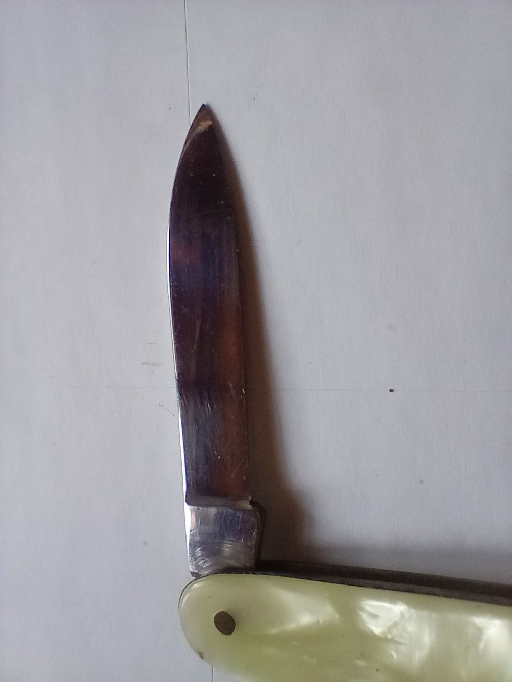 Coltelli tascabile: Schweizer Sackmesser Vintage Inter Maniago 1 Funktion – Usato da Oberdorf BL venduto da Barocki888 7