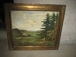 Landschafts-Bild mit Tannen