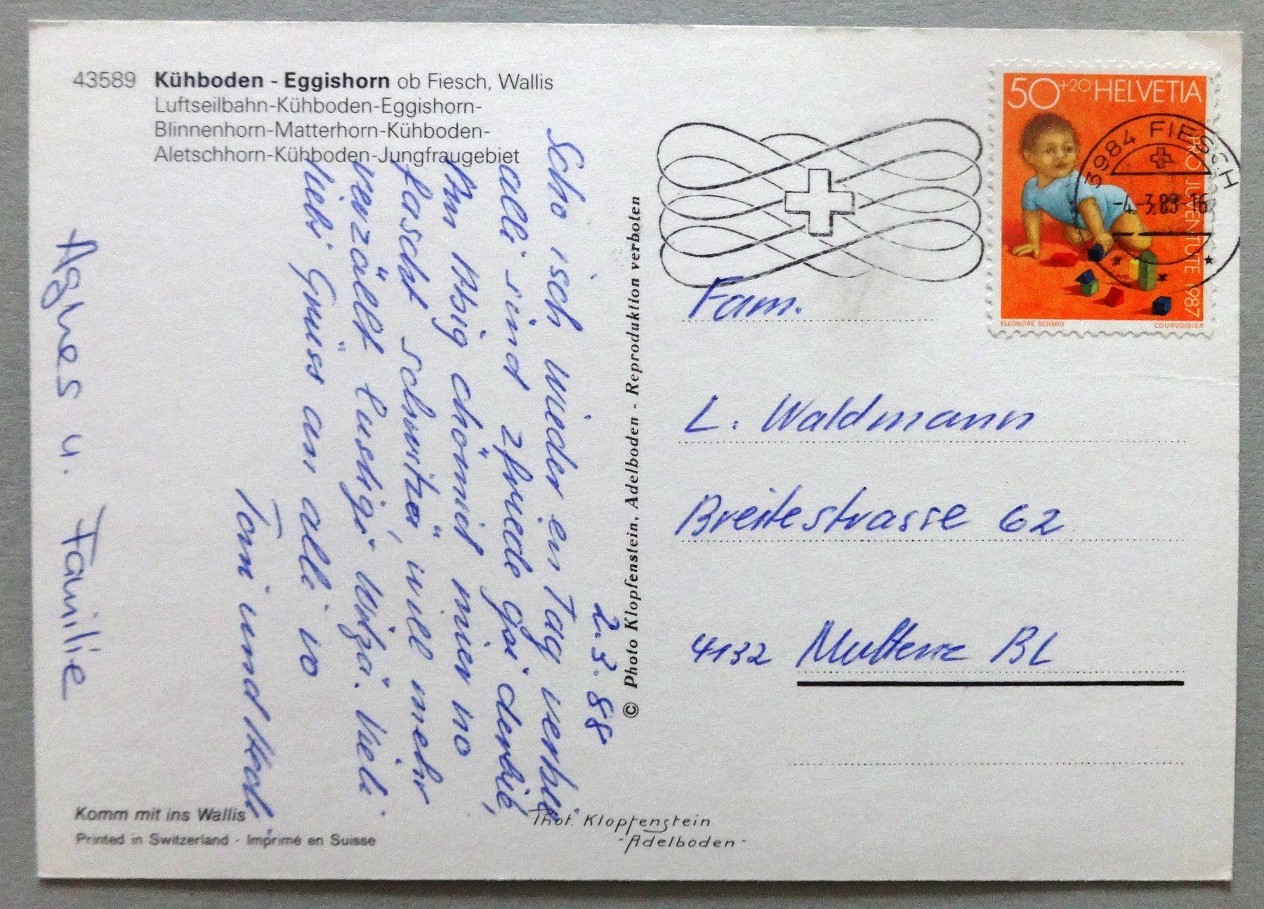 Cartoline postali: Kühboden - Eggishorn ob Fiesch – Usato da Fétigny venduto da Billy2miny 1