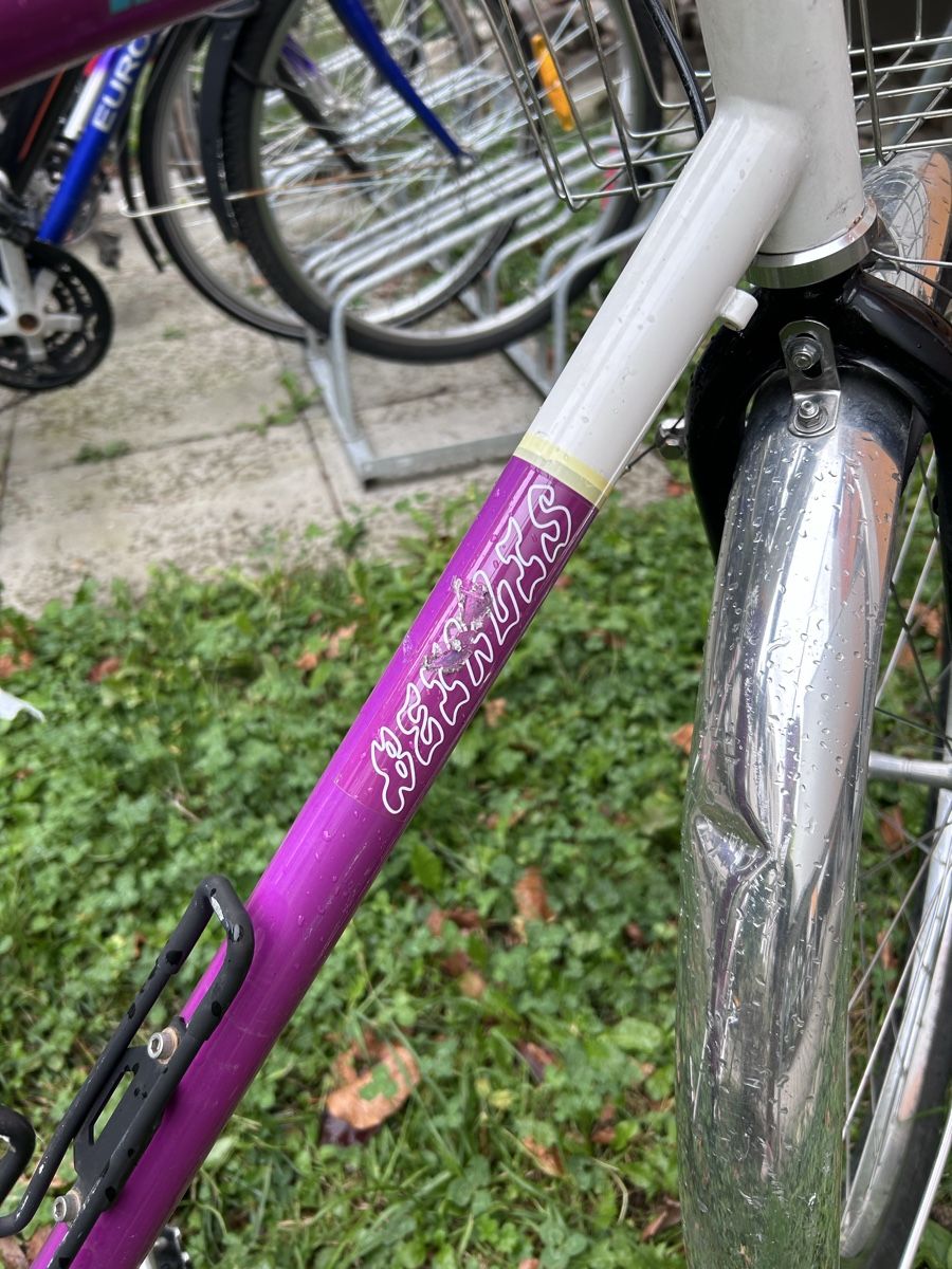 Scott Biciclette: Scott Velo Lila weiss – Usato da Zürich venduto da Nnnn161 1