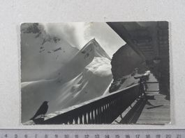 Jungfrau, Jungfraujoch, Berghaus Terrasse, Vogel, Fernrohr
