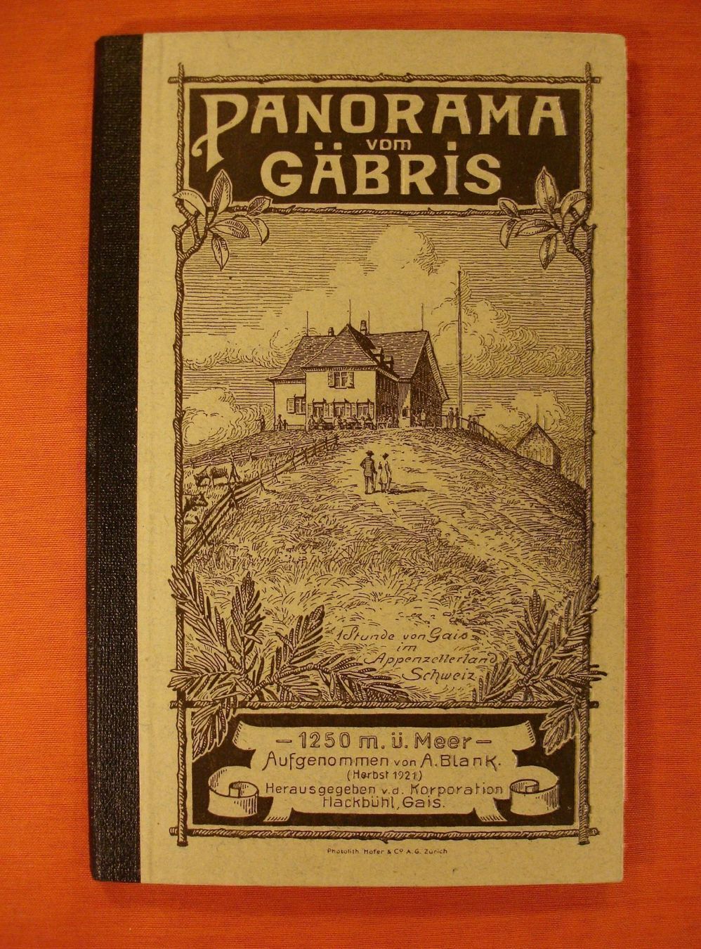 Libri: PANORAMA VOM GÄBRIS – Usato da Grüningen venduto da Kartensammler