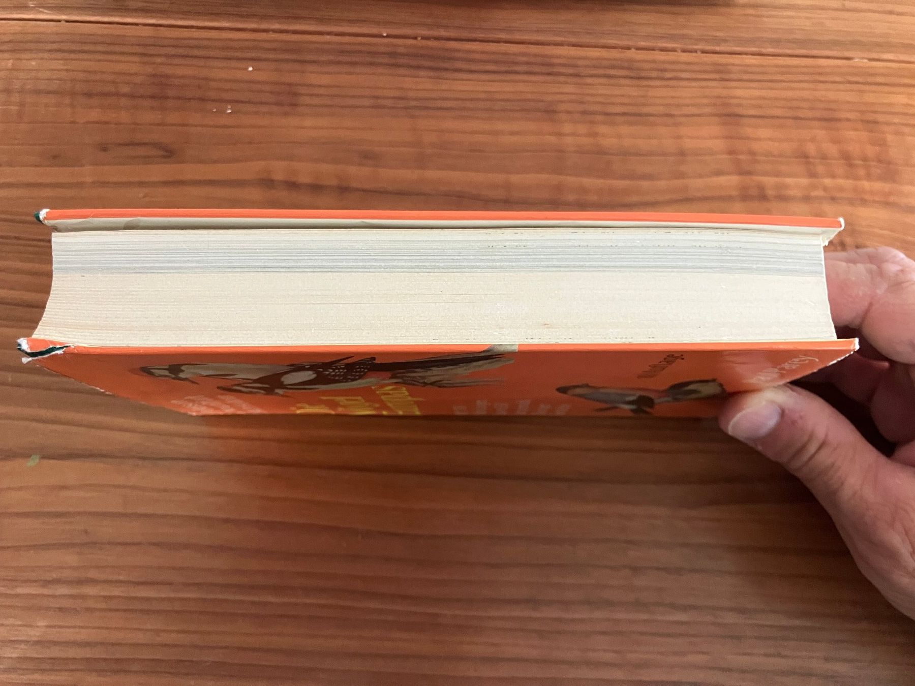 Bücher: Buch - Die Vögel Europas - antik – Gebraucht aus Lindau von PrinterGuy 2