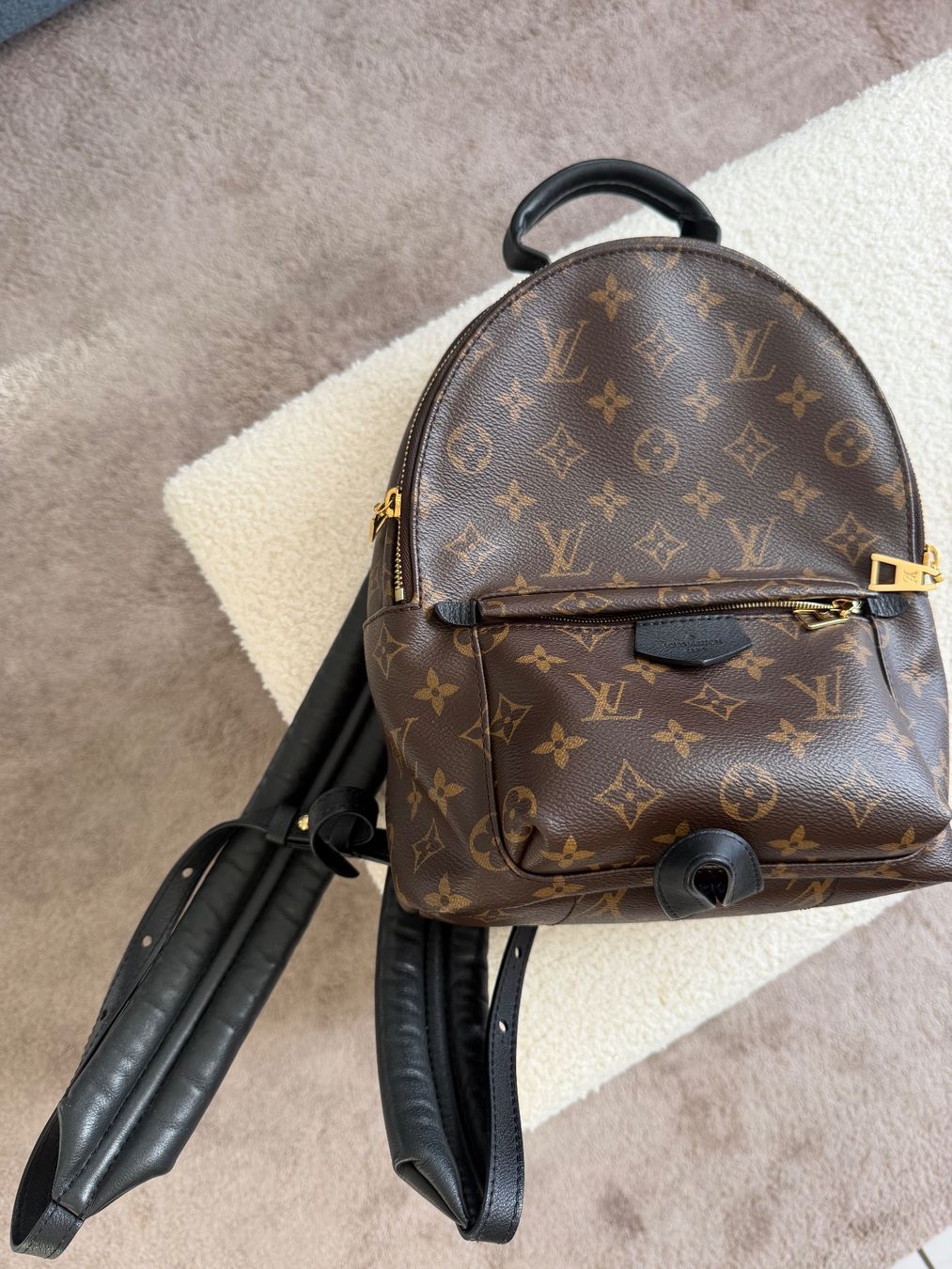 Louis Vuitton Zaini: Louis Vuitton Palm Springs PM – Nuovo (secondo la descrizione) da Baar venduto da Helena.29 1