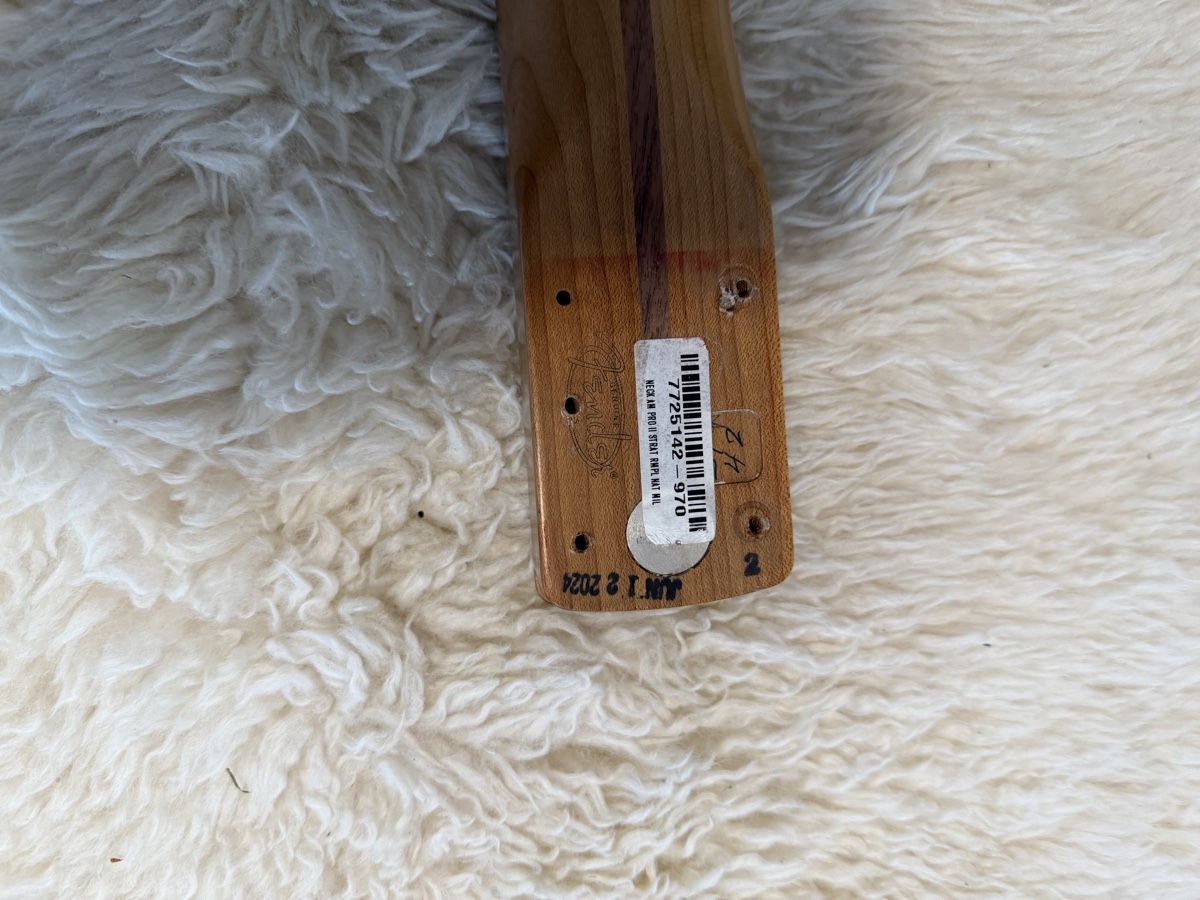 Fender Strumenti musicali: Neck Fender strato pro ll – Usato da Viganello venduto da 53g_ml6j 3