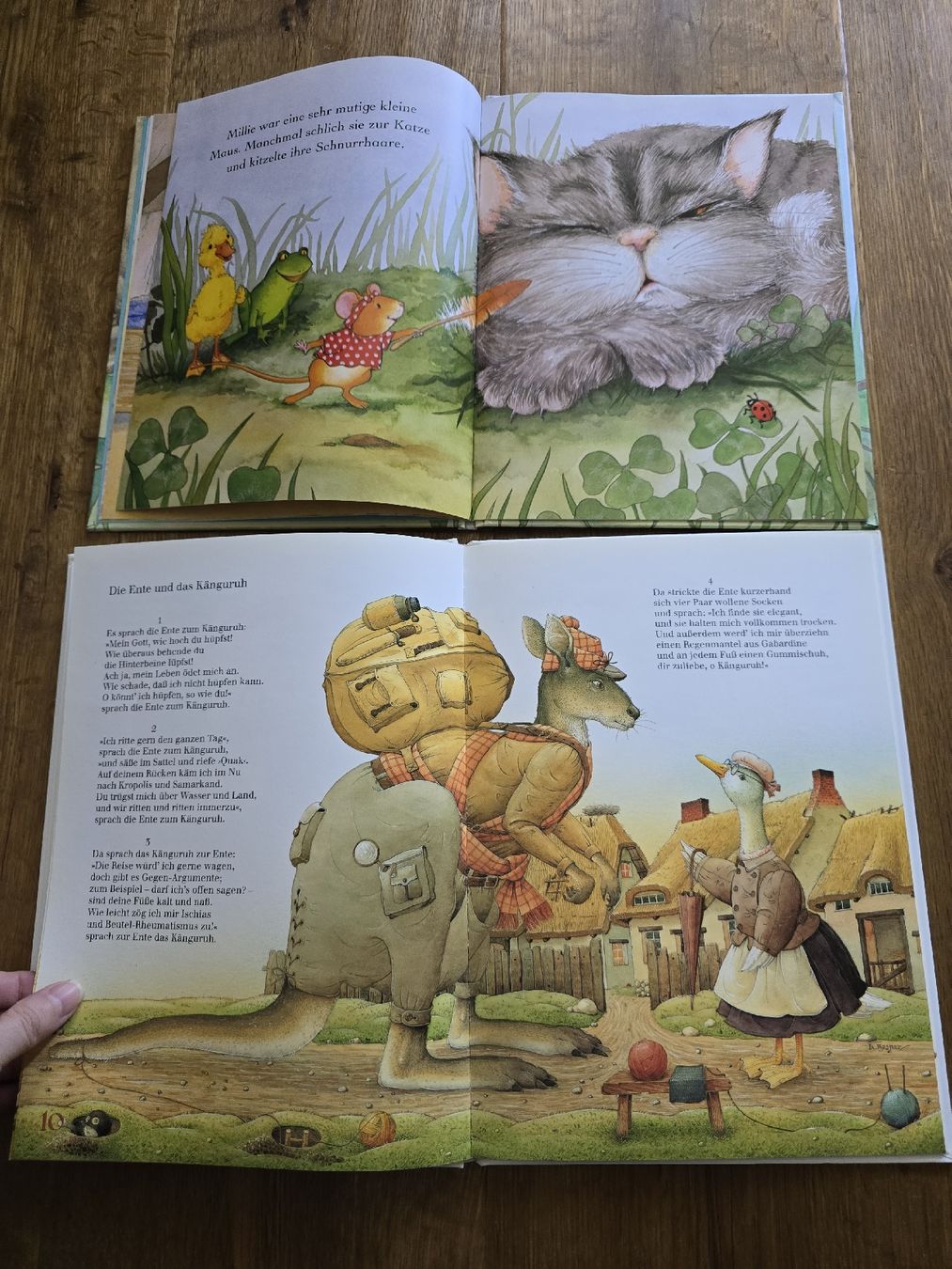 Libri: bücher für kinder – Usato da Wittenbach venduto da Tigerlili 5