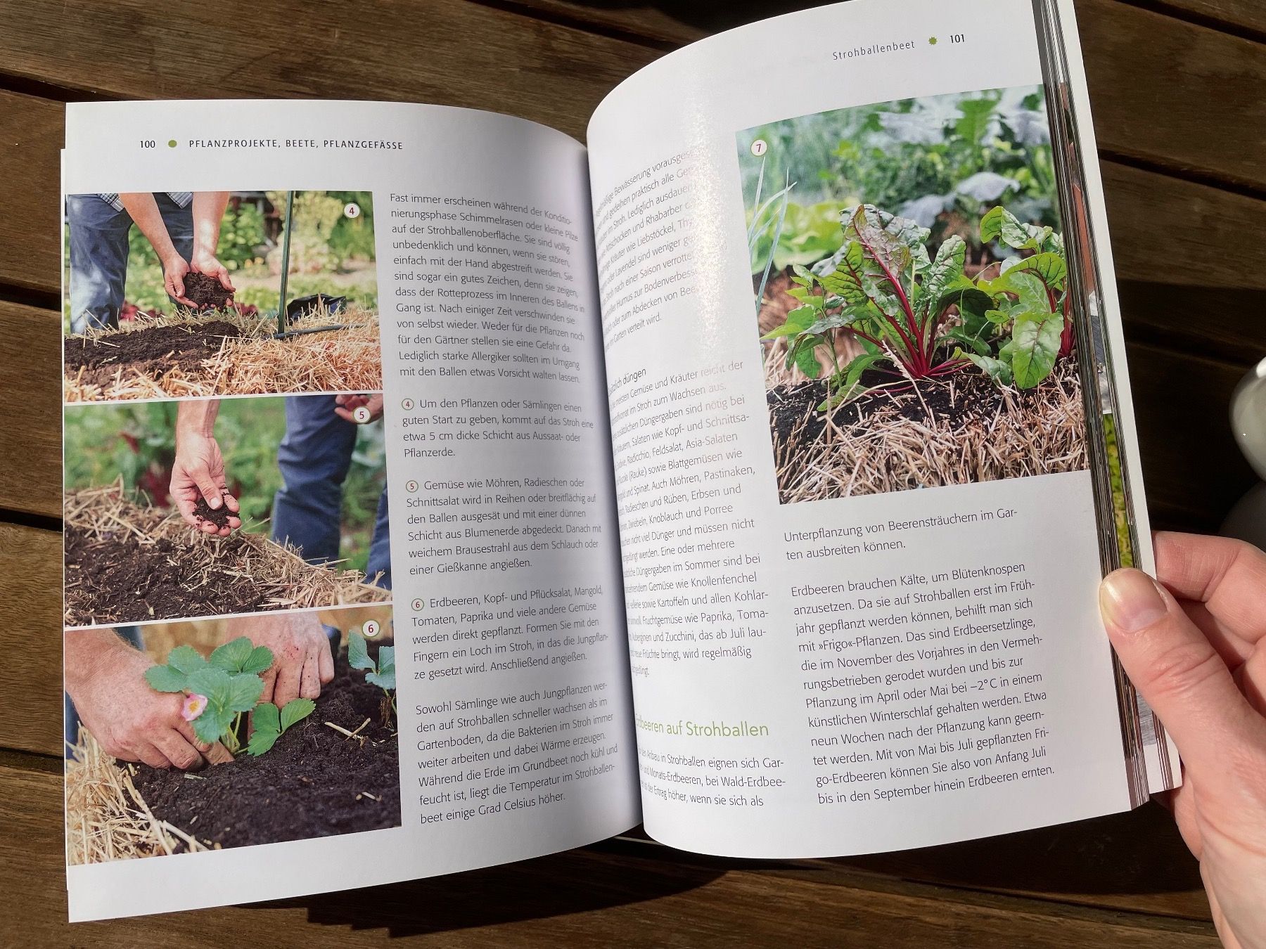 Libri: Gartenbuch für Gartenprojekte – Nuovo (secondo la descrizione) da Zürich venduto da lgu_zg6n 1