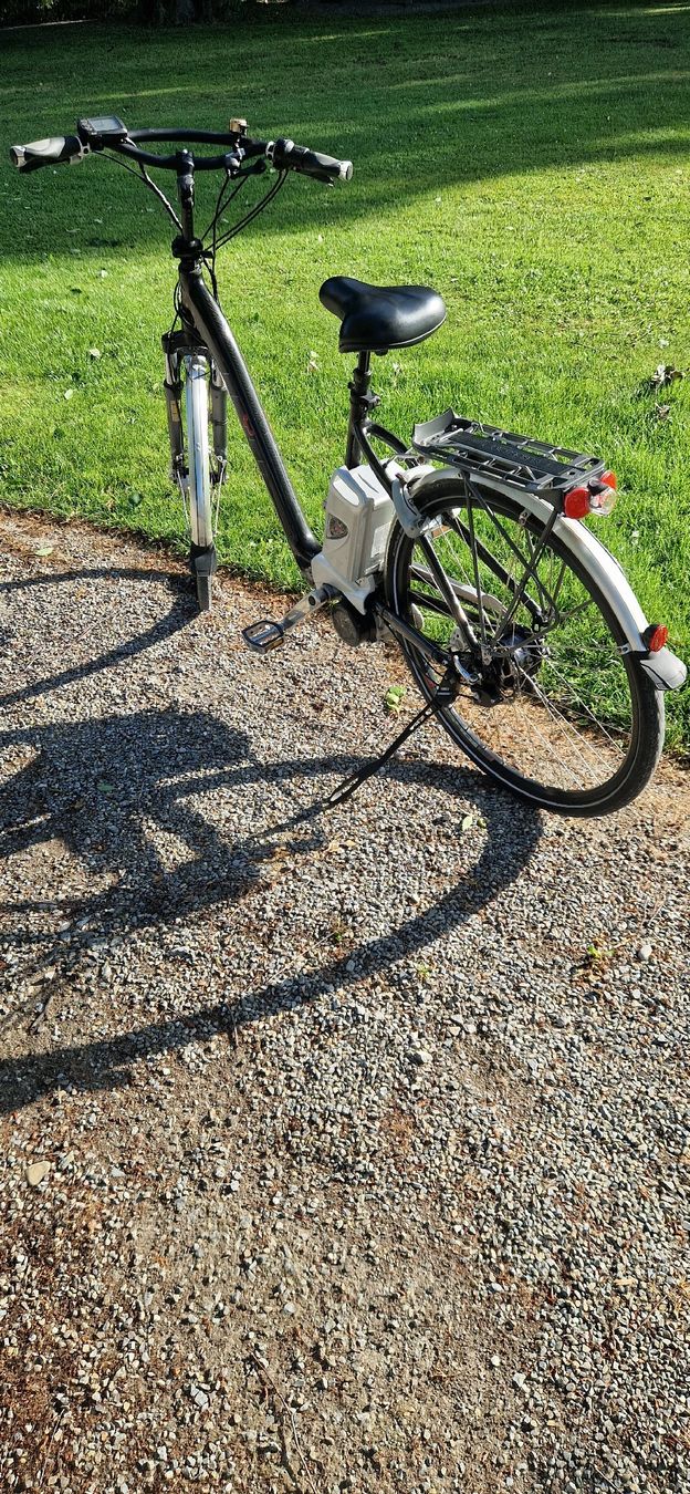 Flyer Biciclette: FLYER E-Bike  – Usato da Romanshorn venduto da fag_gnd6 1