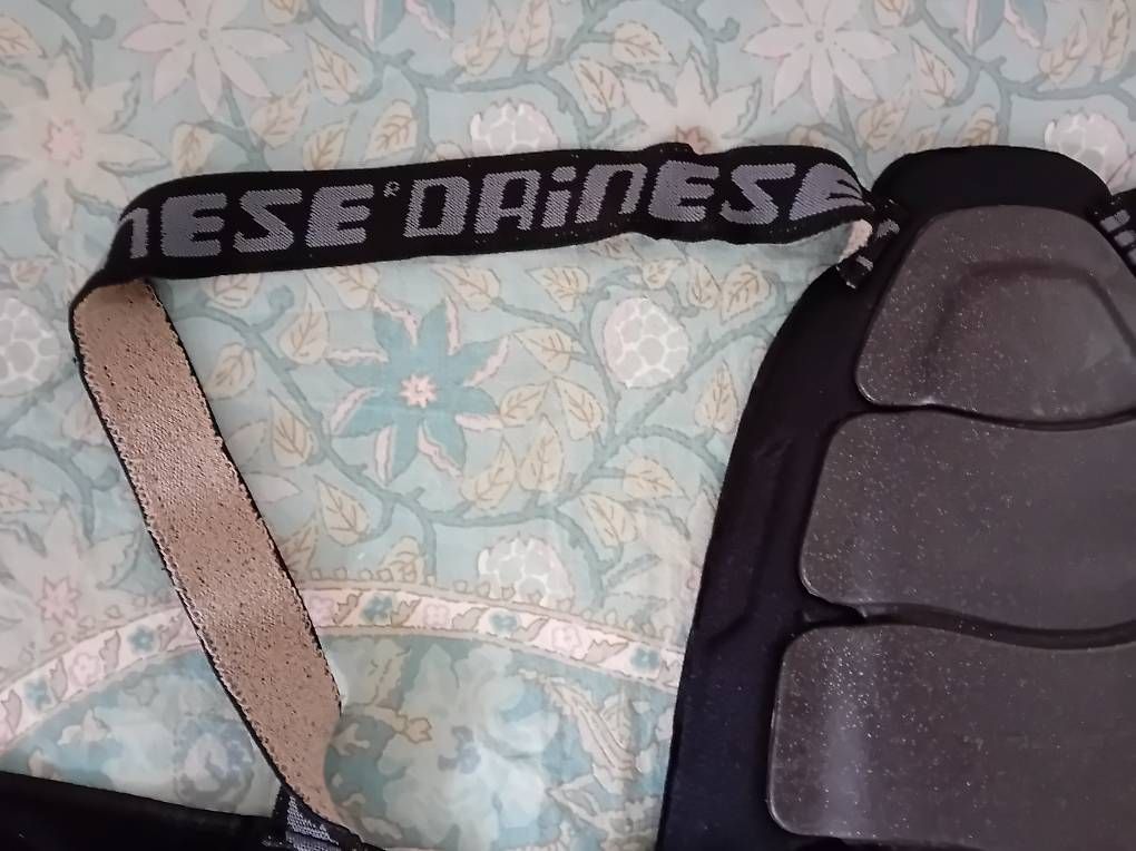 Protezioni & Imbottiture: Rückenprotektor Dainese – Usato da Dübendorf venduto da Lillalovis 4