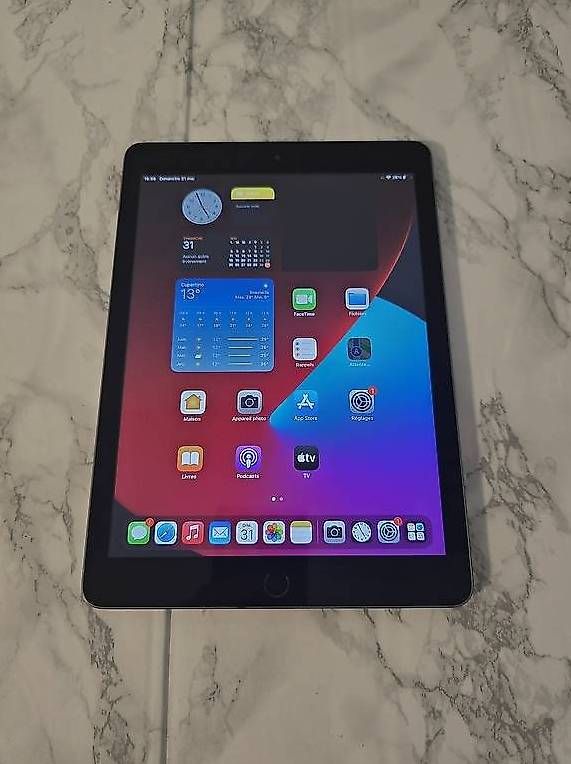 Apple Tablet PC: iPad 6| 32GB| Wi-Fi – Usato da Renens VD venduto da MTD2211
