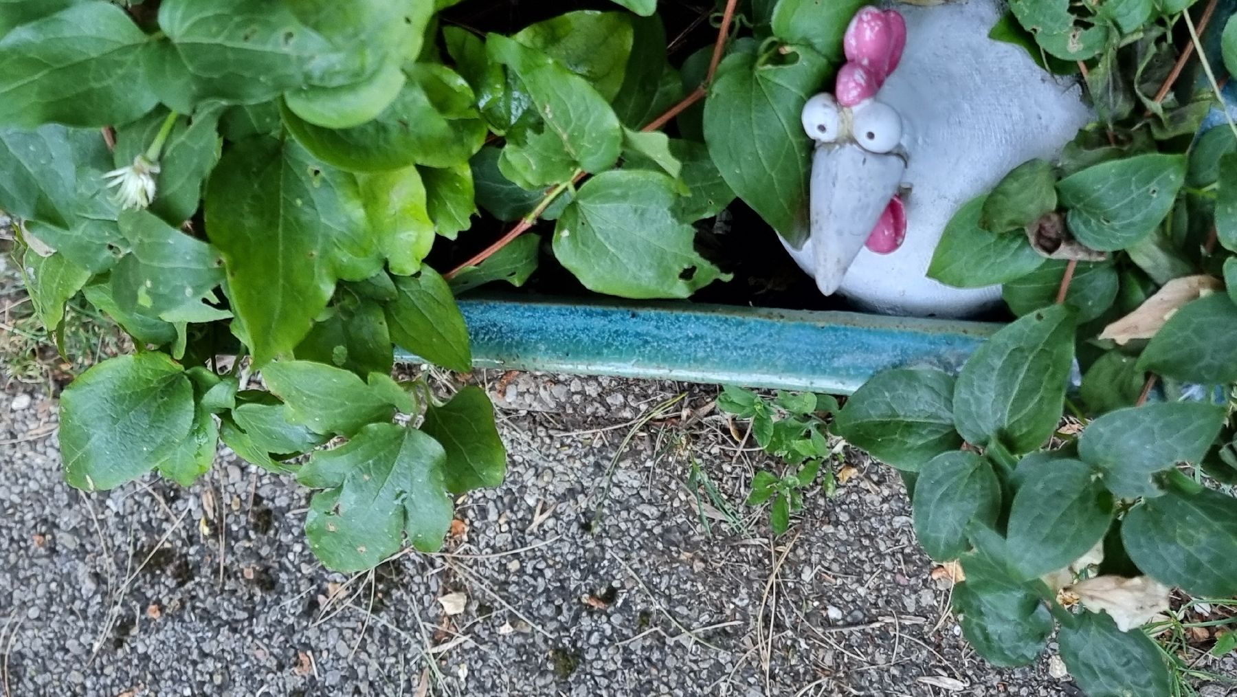 Blumentöpfe: Blumentopf Keramik grün – Gebraucht aus Twann von MW51 3