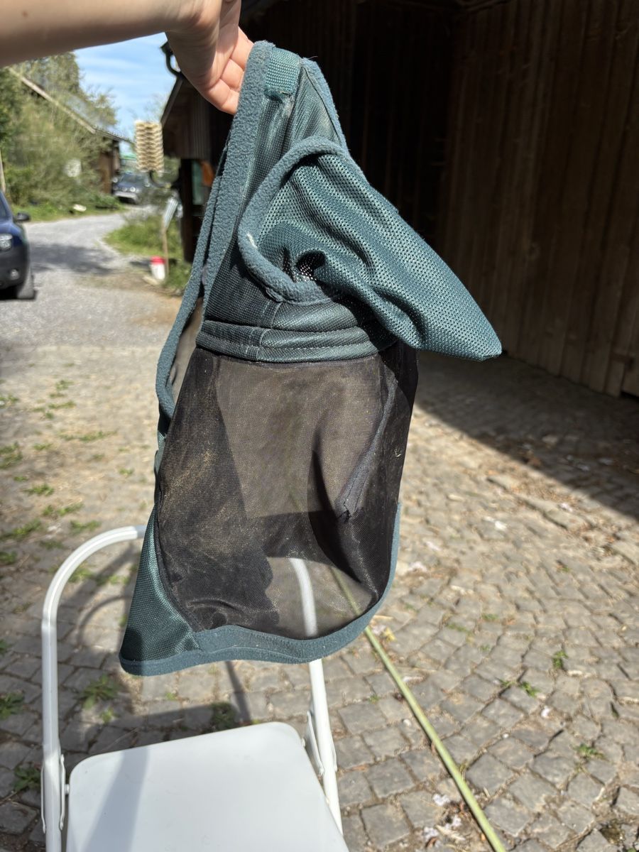 Zaumzeug & Halfter: Fliegenmaske – Gebraucht aus St. Gallen von may_8fbd 1