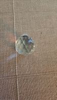 Sfera di cristallo per vecchi lampadari