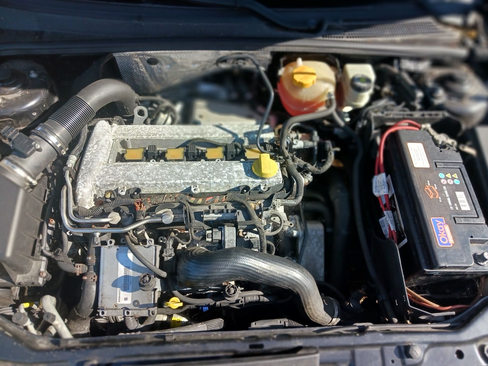 Opel Automobili: Opel Signum – Difettoso da Mönchaltorf venduto da who_nvc6 4