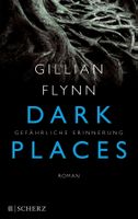 Flynn Gillian - Dark Places - Gefährliche Erinnerung