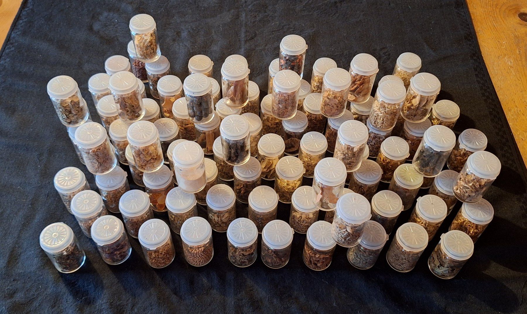 Piante & sementi: Grosses Herbarium für Studium – Usato da Opfikon venduto da Carslo5 4