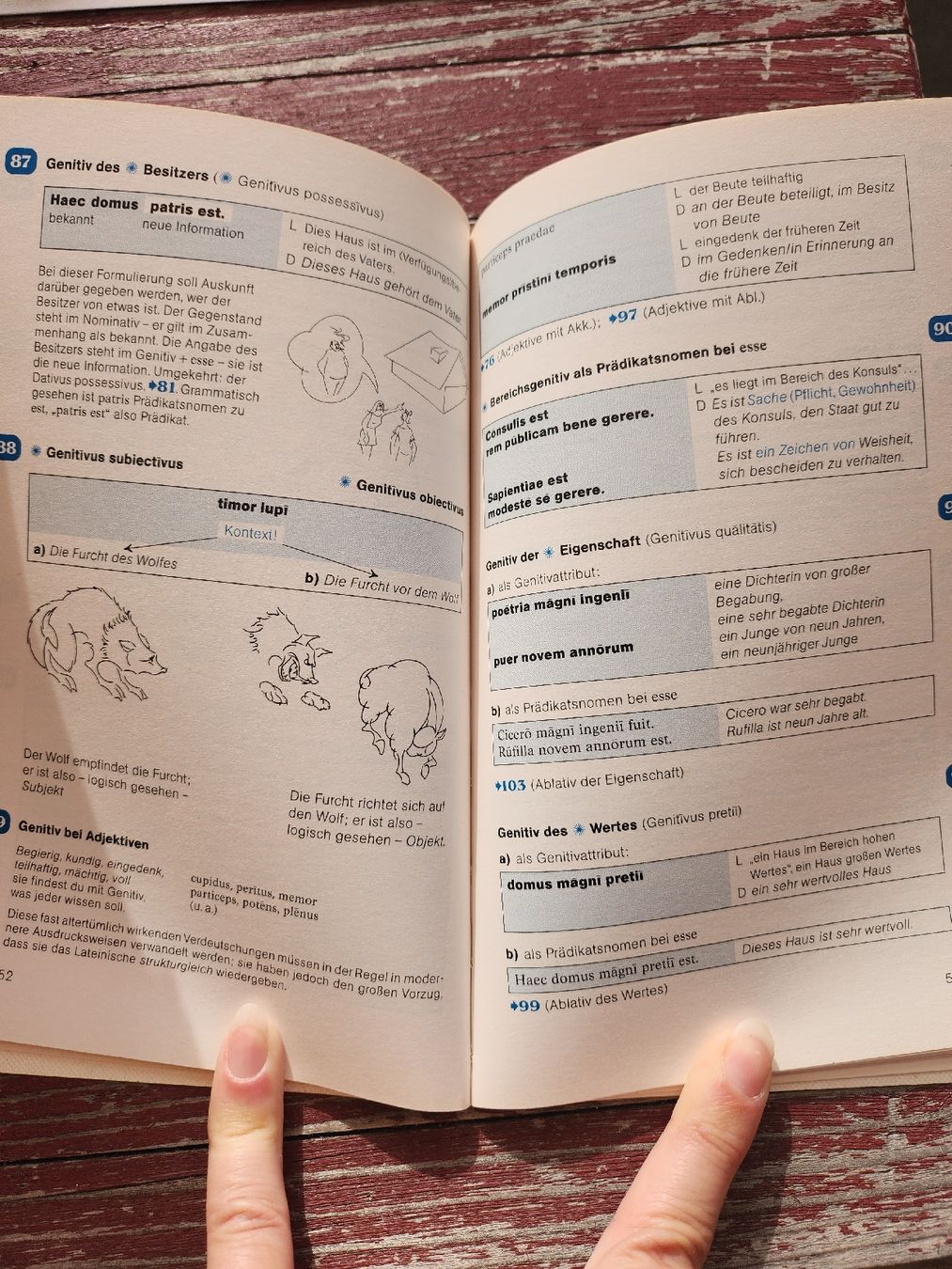 Libri: Memoranda, T.Meyer, 2006 – Usato da Dübendorf venduto da elisa.d 2