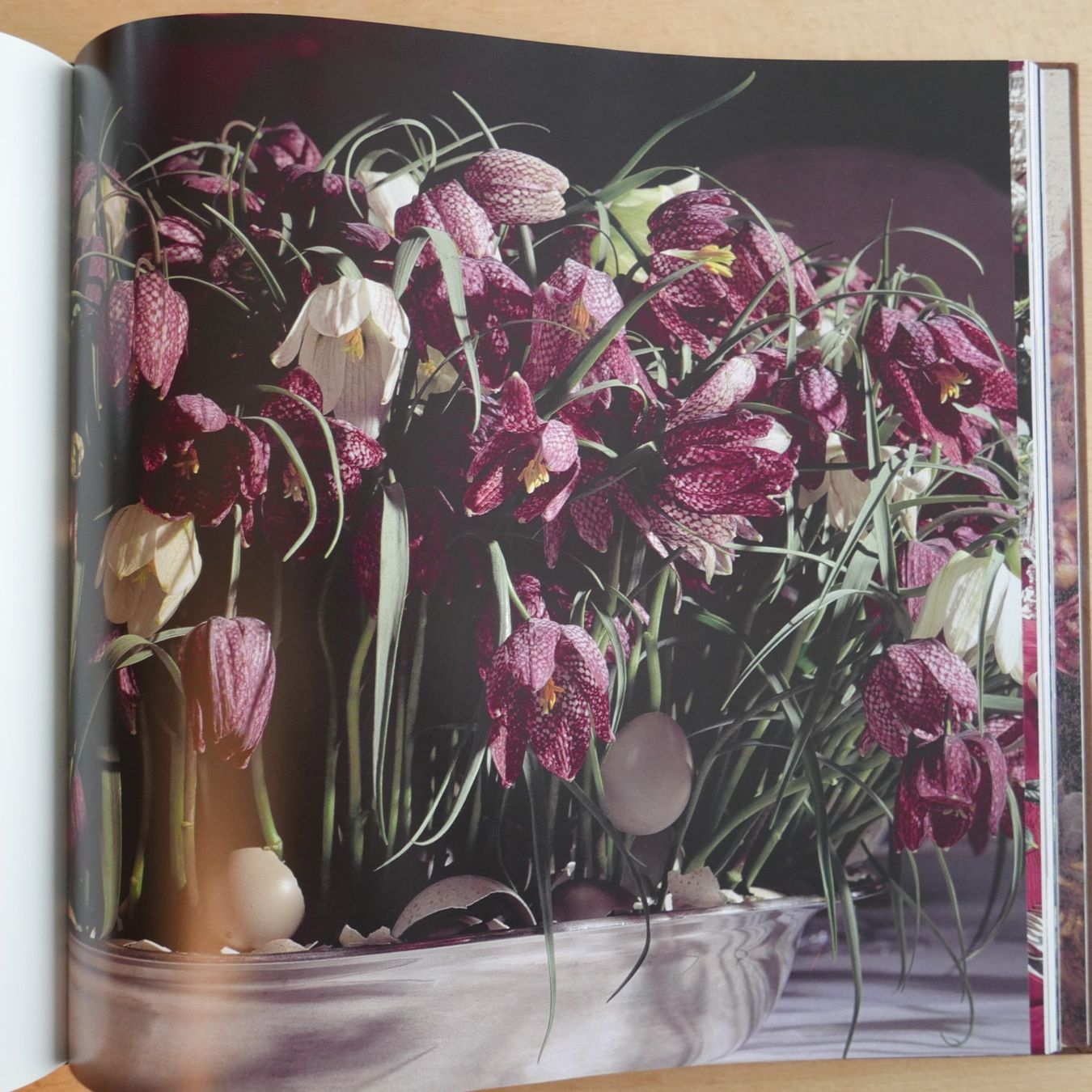 Livres: Blumenträume  einmalig  33.5 x 33.5 cm – D'occasion à Rotkreuz par nigal 7