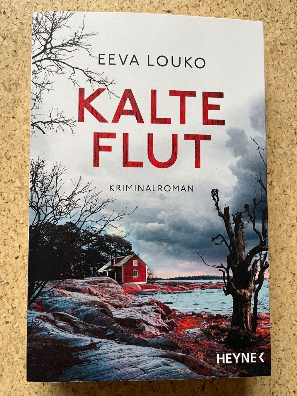 Bücher: Taschenbuch "Kalte Flut", Eeva Louko – Gebraucht aus Grosswangen von Vita500