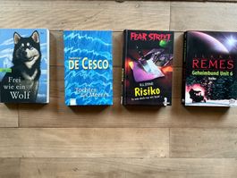 4 Jugendbücher: Wolf, Meer, Risiko, Thriller-Spannung pur!