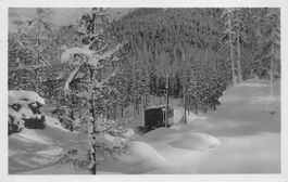 Bernina bahn im winter Zug treno
