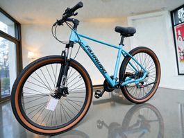 29 Zoll Hardtrail Velo 27-Gang Shimano ALIVIO MATT-BLAU NEU