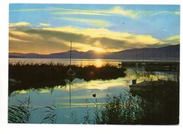 WALCHWIL Abendstimmung am See