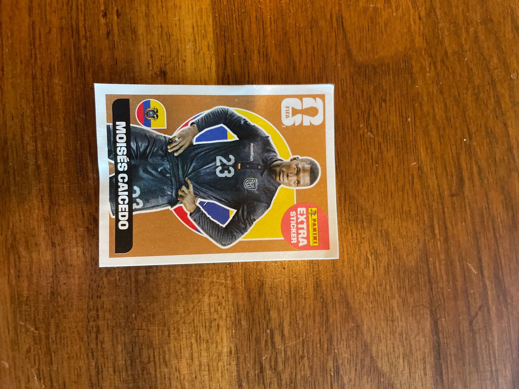 Panini Carte collezionabili: Panini WM26 CAICEDO EXTRA STICKER Bronze – Nuovo e nell'imballaggio originale da Wiesendangen venduto da armandinho